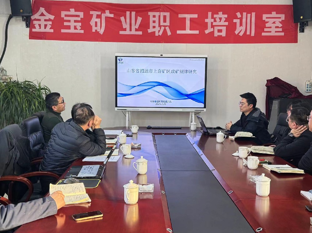 NG大舞台有色组织召开上夼矿区成矿纪律研究科研项目技术钻研会